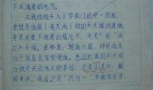 我眼中的妈妈 四年级我的妈妈作文700字