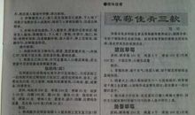 川味 初三作文700字