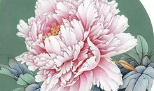 世界名著读后感汇总，抓紧读一读！