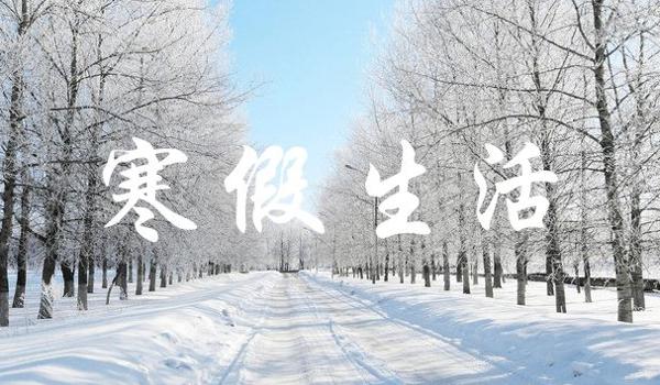 寒假生活我的寒假