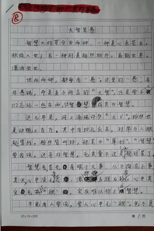 2015年江苏高考满分作文：大智若愚