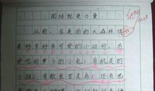 团队的力量 高一作文1000字