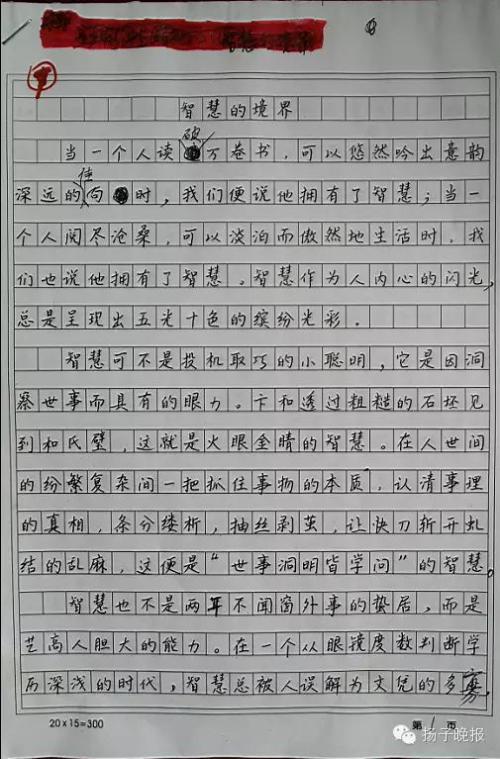 2015年江苏高考满分作文：智慧的境界