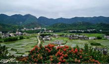 温暖之城-我的家乡温州作文700字