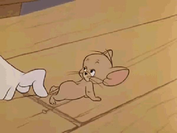 原创学生作文：《我最喜欢的小猫》 1