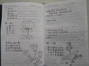 城南旧事好词好句好段