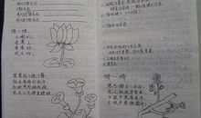 城南旧事好词好句好段