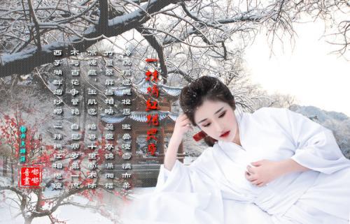 半窗疏影，执袖轻叹流年_3000字