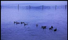 顺峰山公园采风-小学生诗歌