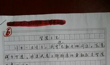 2015年江苏高考满分作文：智慧之光