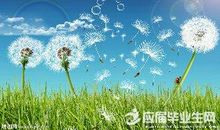 最后一棵树的遭遇-优秀想象作文700字