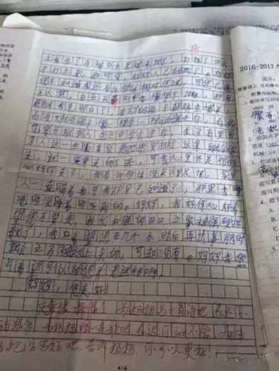 “老鼠爱大米”的诞生和流行对作文写作的启示—鼠年说鼠（11）