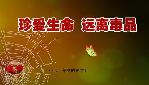 珍爱生命，远离毒品 初中生议论文400字