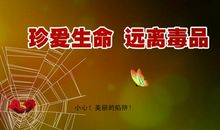 珍爱生命，远离毒品 初中生议论文400字