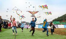 《追风筝的人》读后感：堵在心里的愧疚，唯有行动才能弥补