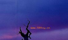 2015年江苏高考满分作文：左手粪叉，右手笔杆