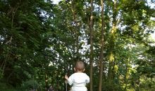 《不管教的勇气》读后感