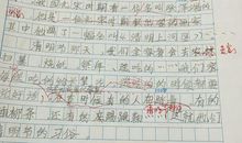 开错季节的花作文850字