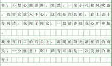 踏青中学生作文