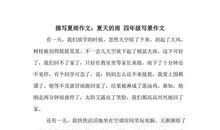 初三写景作文：夏天的雨（六）_700字