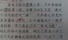 最美伤痕 六年级写景作文500字