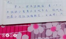 校园一角 五年级写景作文500字