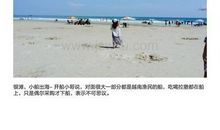 北海涠洲岛作文六篇