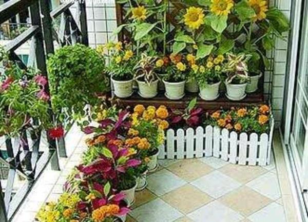 小学生作文:妈妈打造的花园阳台