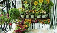 小学生作文：妈妈打造的花园阳台