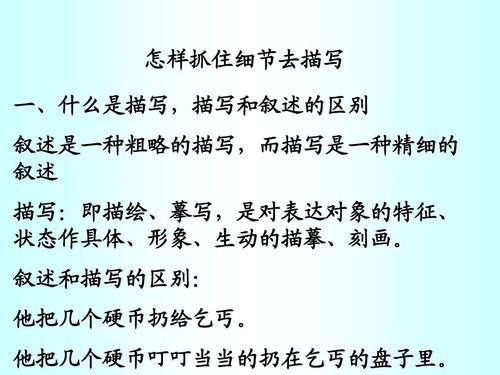 抓住细节描写写作文800字