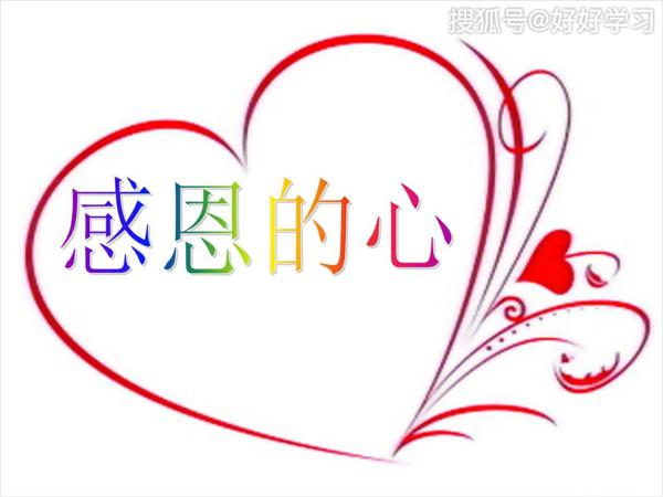 感恩的心读后感范文