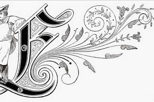 高一状物作文：小草_800字