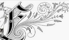 高一状物作文：小草_800字