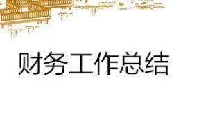 【精品】财务的年终工作总结三篇