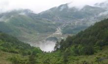 关于友谊的作文：阳光・温暖・友谊_450字