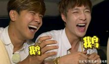 《极挑》搞笑担当，如今520，学小学生写作文求复合，迷惑行为？