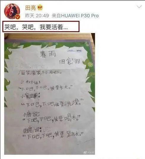 田亮晒儿子作文惹人羡:陪伴孩子,时间不是真谛,付出心力才是 2