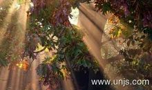 关于百年追梦全面小康的作文