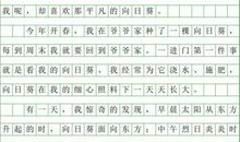 向日葵-写物的作文350字