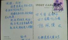 高一状物作文：菊花飘香_900字