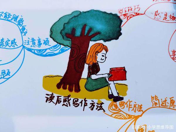 用思维导图整理读后感的写作方法和写作技巧