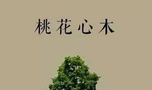 作文开头小妙招，让你的文章更出彩！