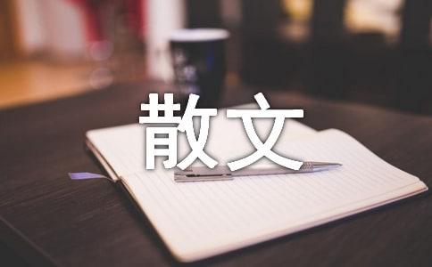 红尘路谁主沉浮的散文