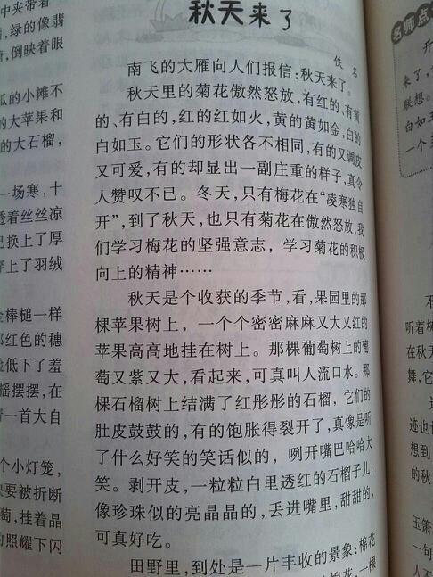 掌上“足球” 四年级秋游作文300字