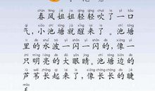 第三只眼睛在哪里-课堂小游戏作文800字