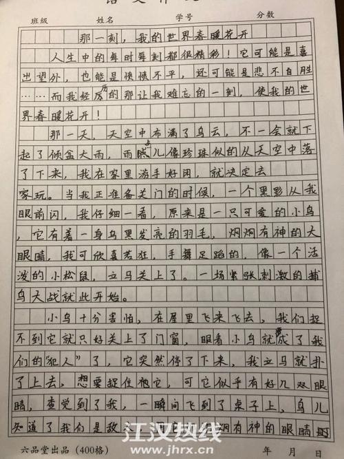 淡如芍香-写物的作文500字