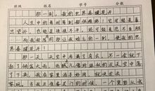 淡如芍香-写物的作文500字