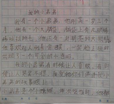我的小弟弟_300字