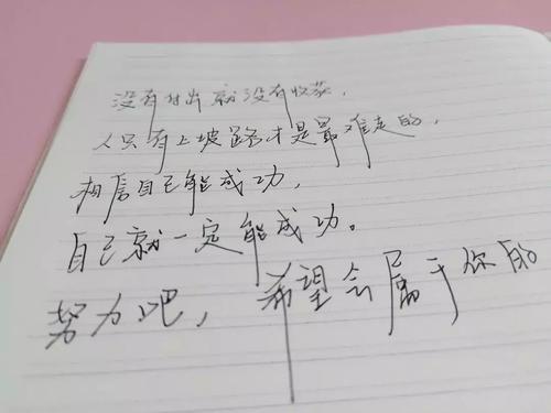 最新武汉加油作文