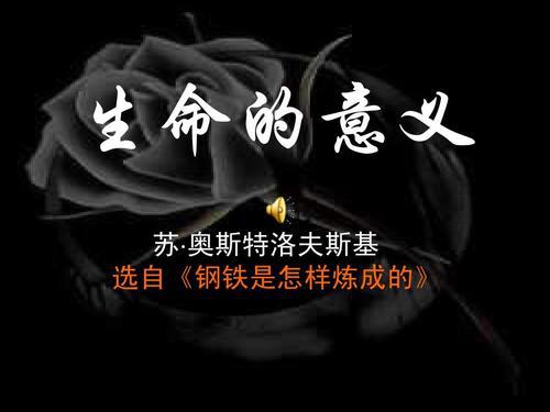 生命的意义_650字